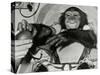 Chimp Ham After Mercury MR2 Flight-null-Stretched Canvas