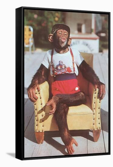 Chimp Sitting in Armchair-null-Framed Stretched Canvas