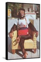 Chimp Sitting in Armchair-null-Framed Stretched Canvas