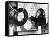 Chimp with Tyre-null-Framed Stretched Canvas