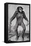 Chimpanzee, 1699-Michael van der Gucht-Framed Stretched Canvas