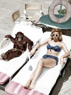 Chimpanzee and a Woman Sunbathing
