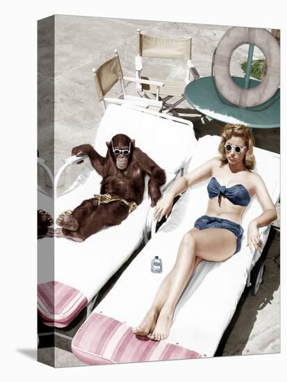 Chimpanzee and a Woman Sunbathing-null-Stretched Canvas