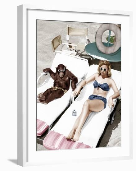 Chimpanzee and a Woman Sunbathing-null-Framed Photo