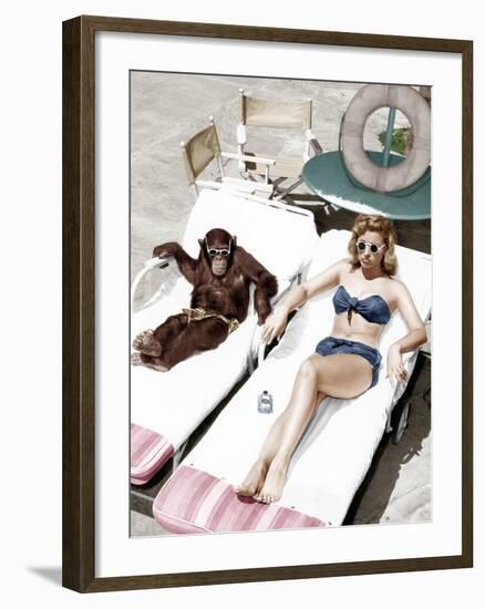 Chimpanzee and a Woman Sunbathing-null-Framed Photo