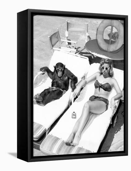 Chimpanzee and a Woman Sunbathing-null-Framed Stretched Canvas