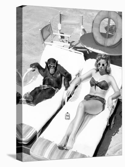 Chimpanzee and a Woman Sunbathing-null-Stretched Canvas