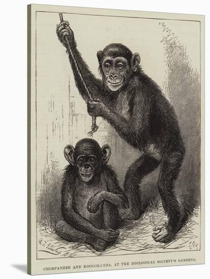 Chimpanzee and Koolokamba, at the Zoological Society's Gardens-null-Stretched Canvas