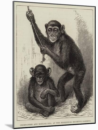 Chimpanzee and Koolokamba, at the Zoological Society's Gardens-null-Mounted Giclee Print