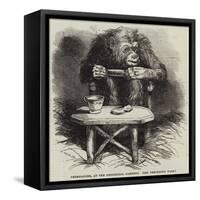 Chimpanzee, at the Zoological Gardens-Harrison William Weir-Framed Stretched Canvas