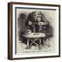 Chimpanzee, at the Zoological Gardens-Harrison William Weir-Framed Giclee Print