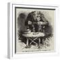 Chimpanzee, at the Zoological Gardens-Harrison William Weir-Framed Giclee Print