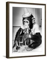 Chimpanzee at Twycross Zoo 1988-Staff-Framed Photographic Print