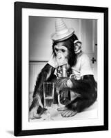 Chimpanzee at Twycross Zoo 1988-Staff-Framed Photographic Print