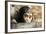 Chimpanzee, Close-Up of Babies Face-null-Framed Photographic Print