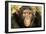 Chimpanzee, Close-Up of Face-null-Framed Photographic Print