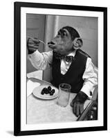 Chimpanzee Dining at a Table-null-Framed Premium Photographic Print
