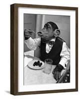 Chimpanzee Dining at a Table-null-Framed Photographic Print