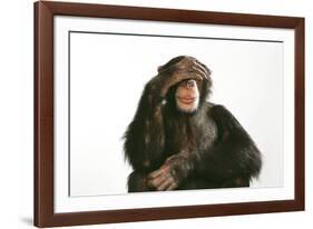 Chimpanzee Hand over Eyes 'See No Evil'-null-Framed Photographic Print