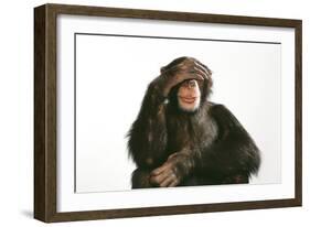 Chimpanzee Hand over Eyes 'See No Evil'-null-Framed Photographic Print