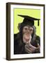 Chimpanzee in Mortarboard-null-Framed Photographic Print