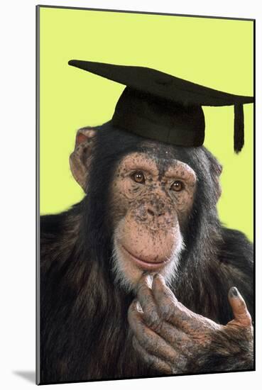 Chimpanzee in Mortarboard-null-Mounted Photographic Print