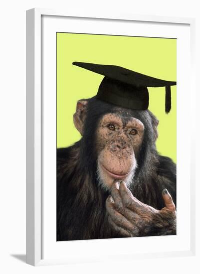 Chimpanzee in Mortarboard-null-Framed Photographic Print