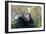 Chimpanzee Pant-Hoot-null-Framed Photographic Print