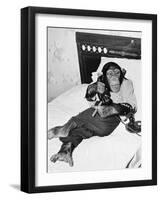 Chimpanzee Sitting in Bed on the Telephone and Smoking a Cigar-null-Framed Photo