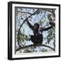 Chimpanzee Sitting in the Forest Canopy, Mahale Mountains, Eastern Shores of Lake Tanganyika-Nigel Pavitt-Framed Photographic Print