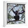 Chimpanzee Sitting in the Forest Canopy, Mahale Mountains, Eastern Shores of Lake Tanganyika-Nigel Pavitt-Framed Photographic Print