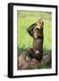 Chimpanzee Smashing Rocks-DLILLC-Framed Photographic Print