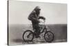 Chimpanzee Titine Riding a Bicycle at the Zoo in Berlin-null-Stretched Canvas