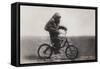 Chimpanzee Titine Riding a Bicycle at the Zoo in Berlin-null-Framed Stretched Canvas