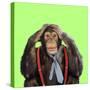Chimpanzee Wearing Tie and Braces-null-Stretched Canvas