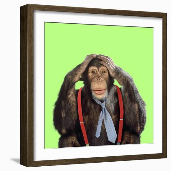 Chimpanzee Wearing Tie and Braces-null-Framed Photographic Print