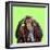 Chimpanzee Wearing Tie and Braces-null-Framed Photographic Print