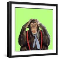 Chimpanzee Wearing Tie and Braces-null-Framed Photographic Print