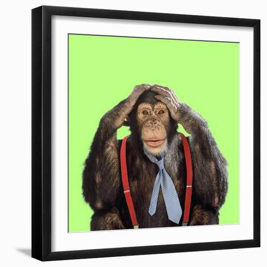 Chimpanzee Wearing Tie and Braces-null-Framed Photographic Print