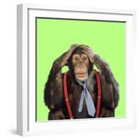 Chimpanzee Wearing Tie and Braces-null-Framed Photographic Print