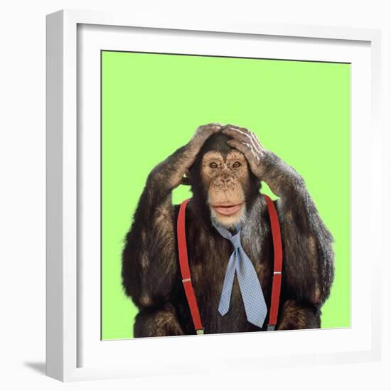 Chimpanzee Wearing Tie and Braces-null-Framed Photographic Print