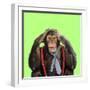 Chimpanzee Wearing Tie and Braces-null-Framed Photographic Print