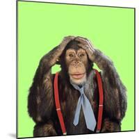 Chimpanzee Wearing Tie and Braces-null-Mounted Photographic Print