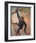 Chimpanzee, Wild Beasts-Cuthbert Swan-Framed Art Print