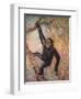 Chimpanzee, Wild Beasts-Cuthbert Swan-Framed Art Print