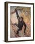 Chimpanzee, Wild Beasts-Cuthbert Swan-Framed Art Print