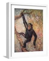 Chimpanzee, Wild Beasts-Cuthbert Swan-Framed Art Print