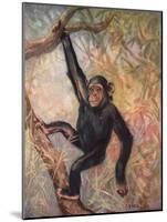 Chimpanzee, Wild Beasts-Cuthbert Swan-Mounted Art Print