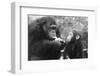 Chimpanzee with Her Young-null-Framed Photographic Print