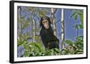 Chelsea Black